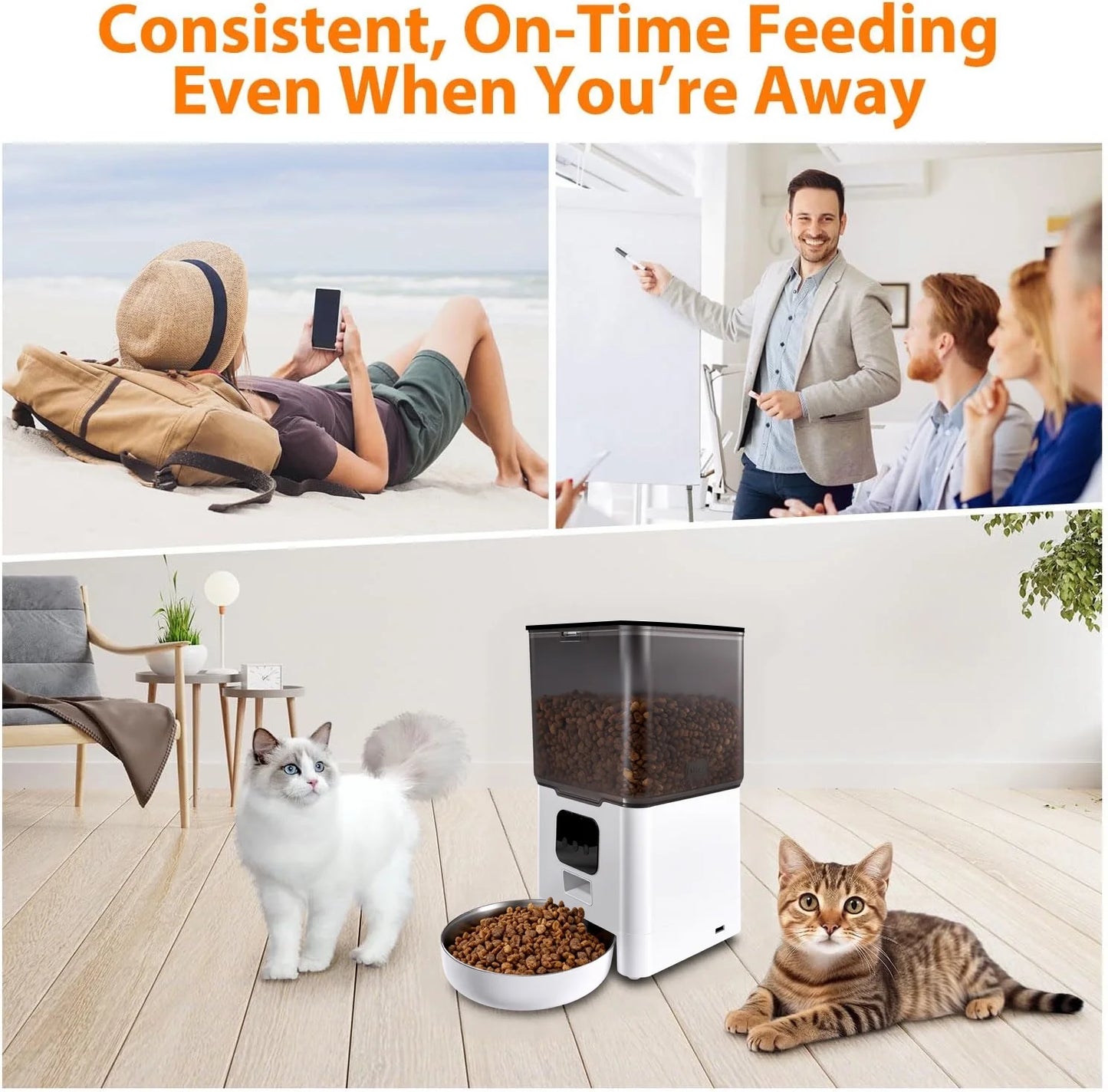 Automatic Cat Feeder 6L WIFI, 2.4G Wifi Timed Pet Feeder Cat Food Dispenser, 6L Automatic Cat Food Dispenser for Small Pets Indoor, White
