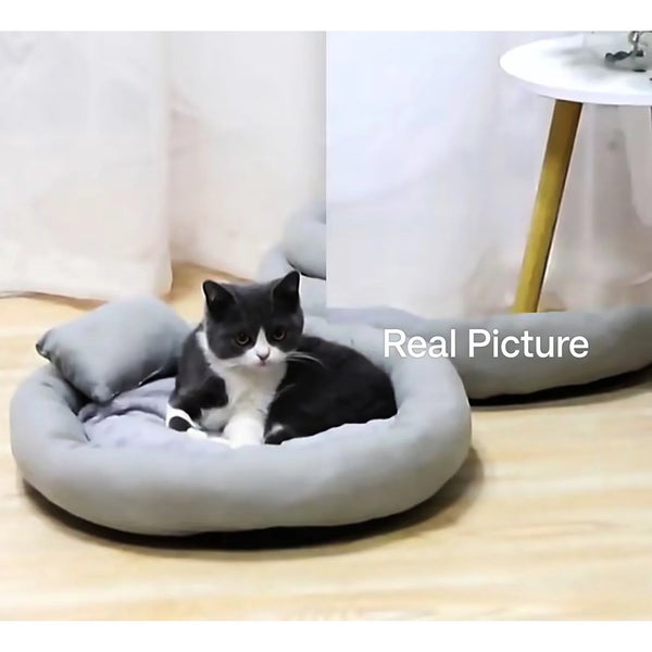 Cuddly Calm Pet Haven