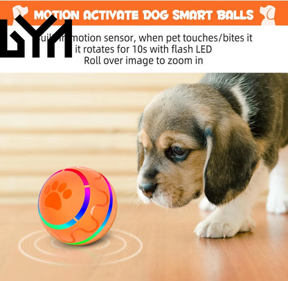 Peppy Pet Ball for Dogs, Interactive Dog Toy Durable Automatic Rolling Ball with Led Flash Lights for Small Medium Dogs Breed, Wicked Ball with Motion Activat Bpa-Free USB Rechargeable