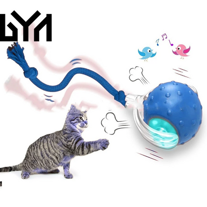 Interactive Cat Toy Ball Super Drive Cat Rolling Ball