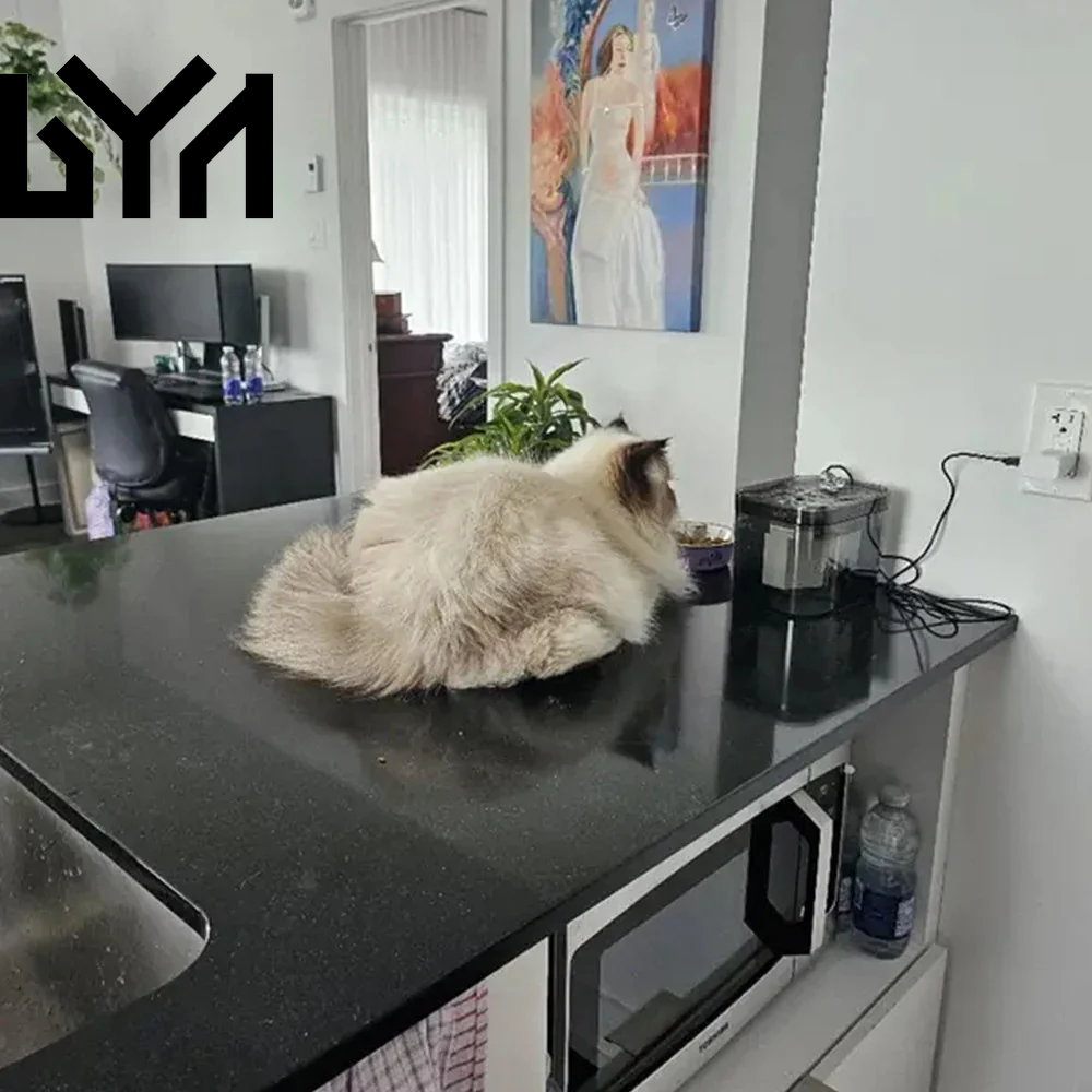 Cat Water Fountain with USB Auto Filter Recirculate Transparent Black Cat Drinker Ultra-Quiet Automatic Pet Drinking Dispenser