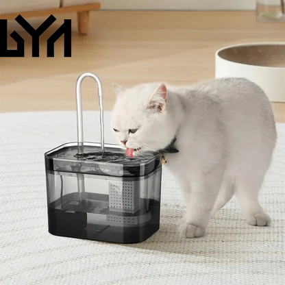 Cat Water Fountain with USB Auto Filter Recirculate Transparent Black Cat Drinker Ultra-Quiet Automatic Pet Drinking Dispenser