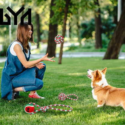 Set of 5Pcs Christmas Dog Rope Chew Toys Dog Interactive Toys Set for Puppy Small Medium Aggressive Chewers Dogs Training Teething Playing