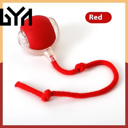 Interactive Cat Toy Ball Super Drive Cat Rolling Ball